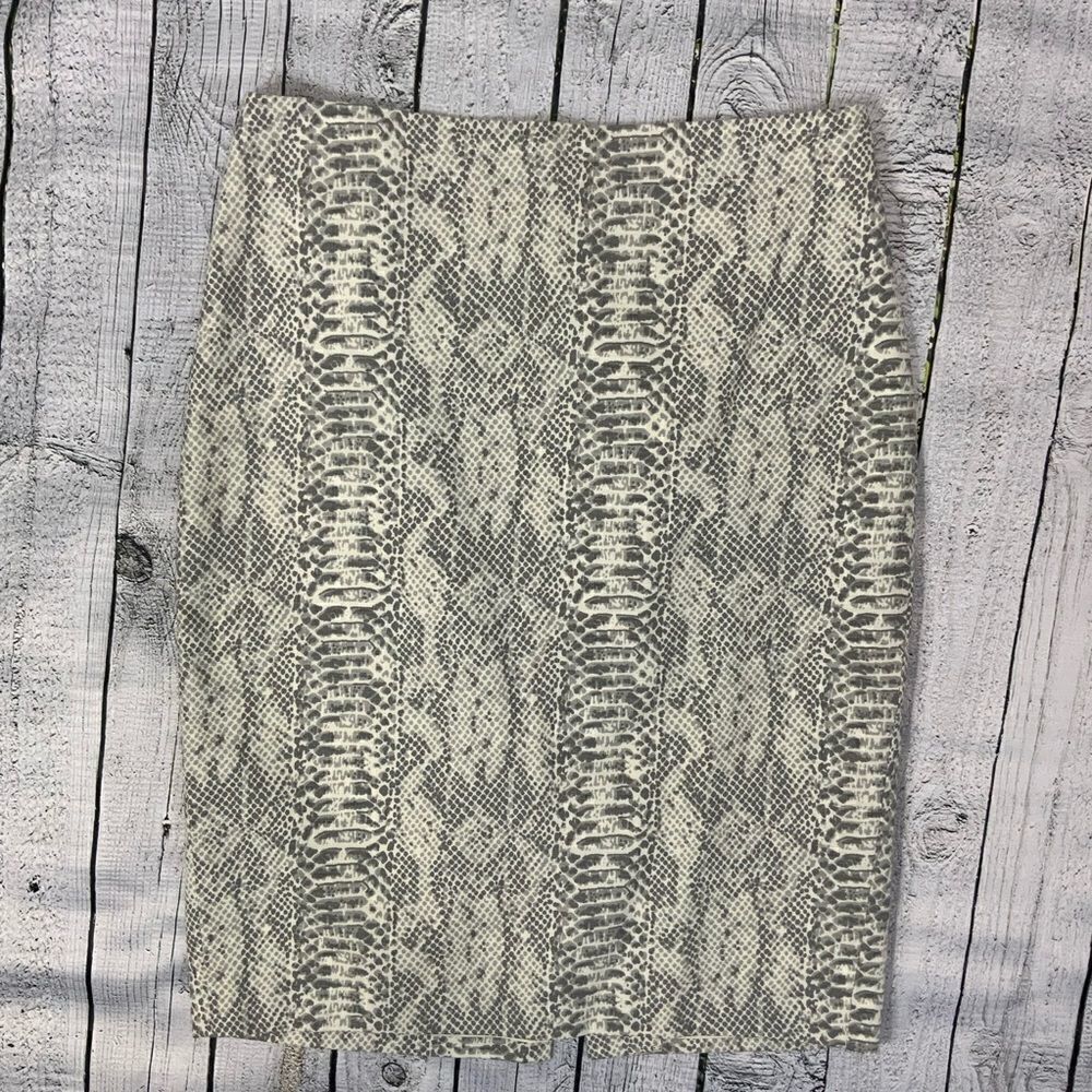 ANN TAYLOR Pencil Skirt